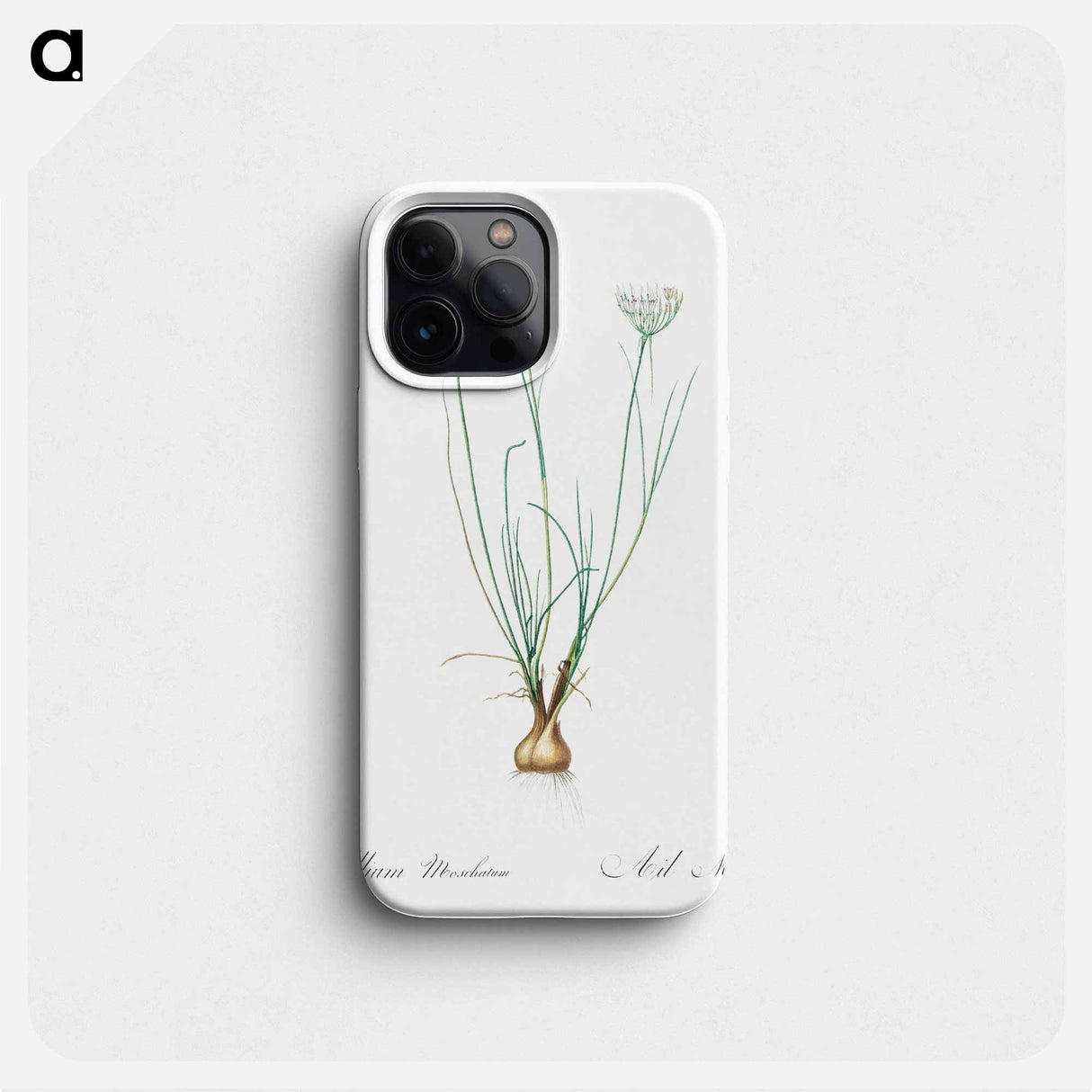 Allium moschatum illustration - Pierre Joseph Redouté Phone Case.