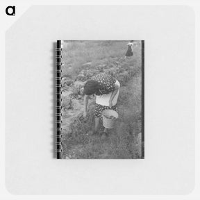 アートメモ帳-Telluride Snowplow Locomotives
 - ラッセル リー Memo.