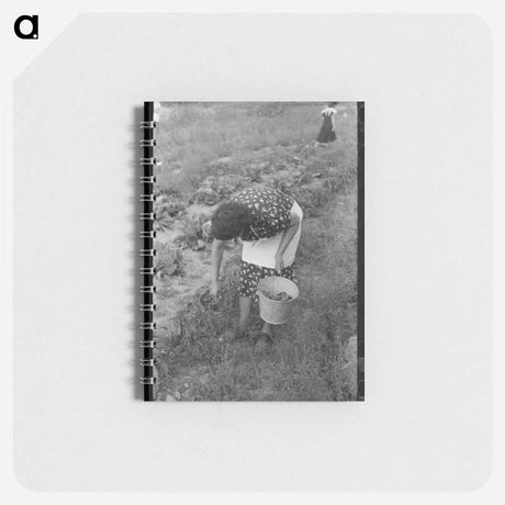 アートメモ帳-Telluride Snowplow Locomotives
 - ラッセル リー Memo.