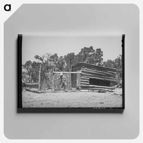 アートパネル-Casa Grande Valley Dairy Cattle
 - ラッセル リー Canvas.