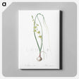 アートパネル-Albuca illustration - ピエール ジョゼフ ルドゥーテ Canvas.
