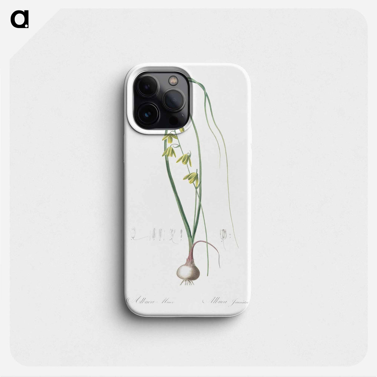 Albuca illustration - Pierre Joseph Redouté Phone Case.