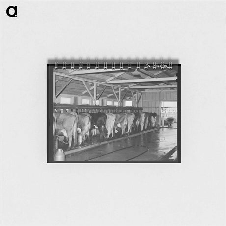 アートメモ帳-Cotton Mill Thread
 - ラッセル リー Memo.