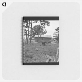 アートメモ帳-Untitled photo - ドロテア ラング Memo.