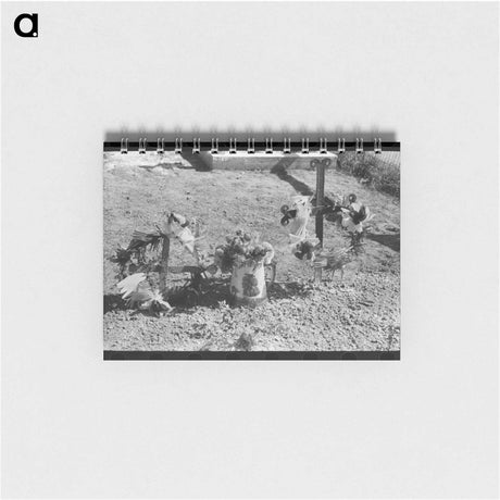 アートメモ帳-Sugar Beet Trucks, Lewiston
 - ラッセル リー Memo.