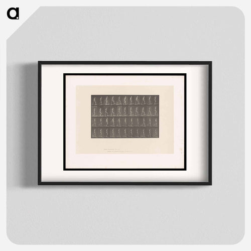 Ascending and Descending
 - エドワード マイブリッジ Poster.