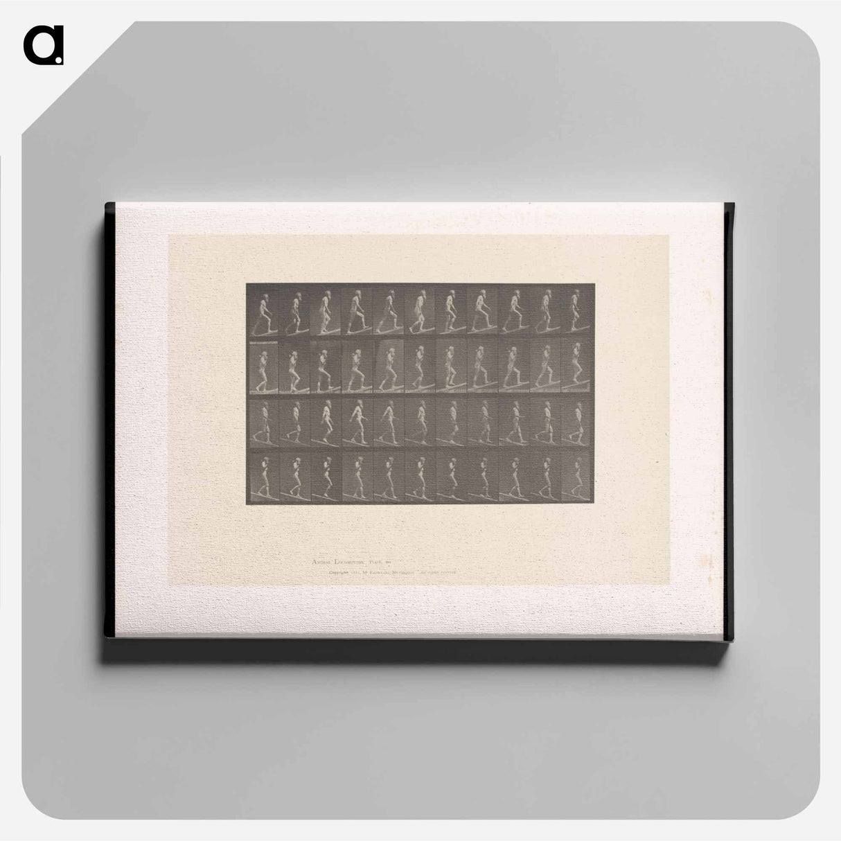 アートパネル-Ascending and Descending
 - エドワード マイブリッジ Canvas.