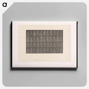 アートパネル-Ascending and Descending
 - エドワード マイブリッジ Canvas.