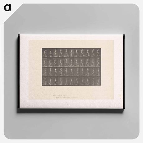 アートパネル-Ascending and Descending
 - エドワード マイブリッジ Canvas.