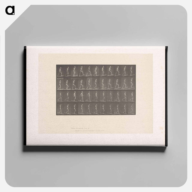 アートパネル-Ascending and Descending
 - エドワード マイブリッジ Canvas.