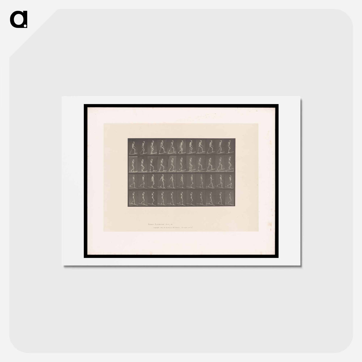 アートポストカード-Ascending and Descending
 - エドワード マイブリッジ Postcard.