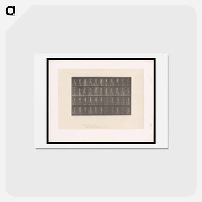 アートポストカード-Ascending and Descending
 - エドワード マイブリッジ Postcard.