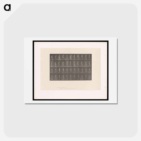 アートポストカード-Ascending and Descending
 - エドワード マイブリッジ Postcard.