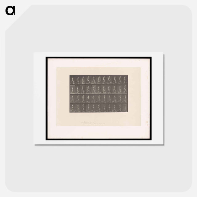 アートポストカード-Ascending and Descending
 - エドワード マイブリッジ Postcard.