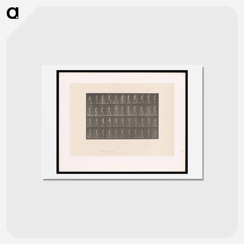 Ascending and Descending
 - エドワード マイブリッジ Postcard.