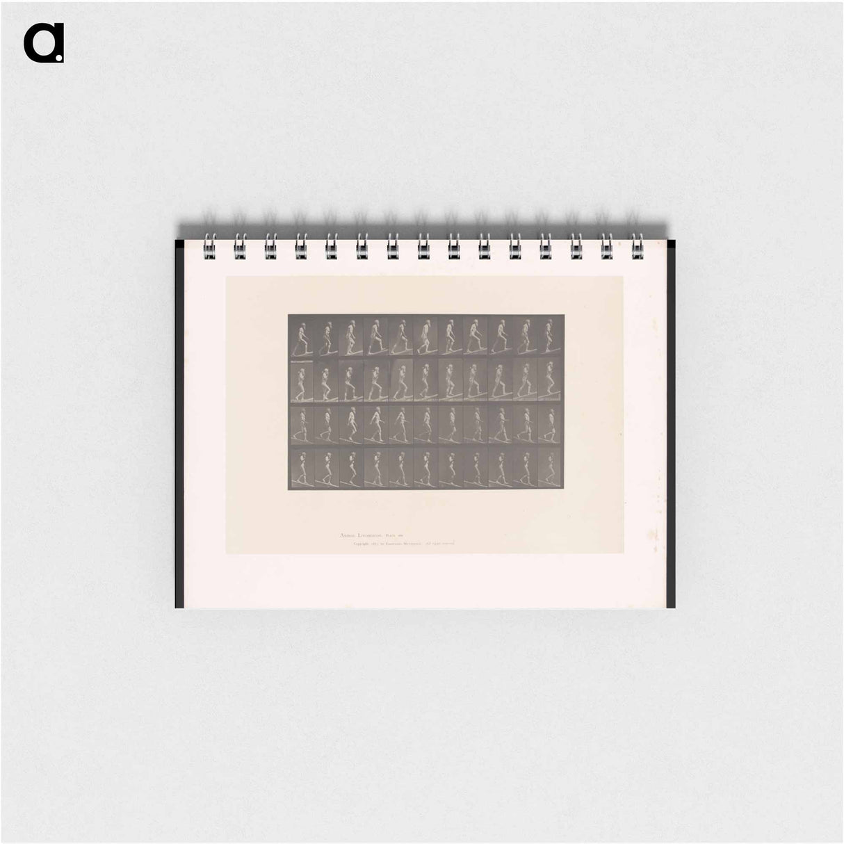 アートメモ帳-Ascending and Descending
 - エドワード マイブリッジ Memo.