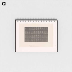 アートメモ帳-Ascending and Descending
 - エドワード マイブリッジ Memo.