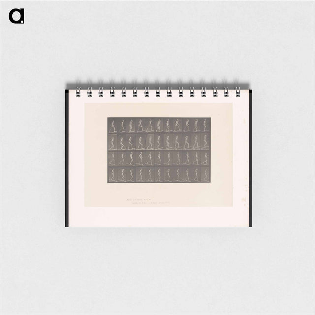 アートメモ帳-Ascending and Descending
 - エドワード マイブリッジ Memo.