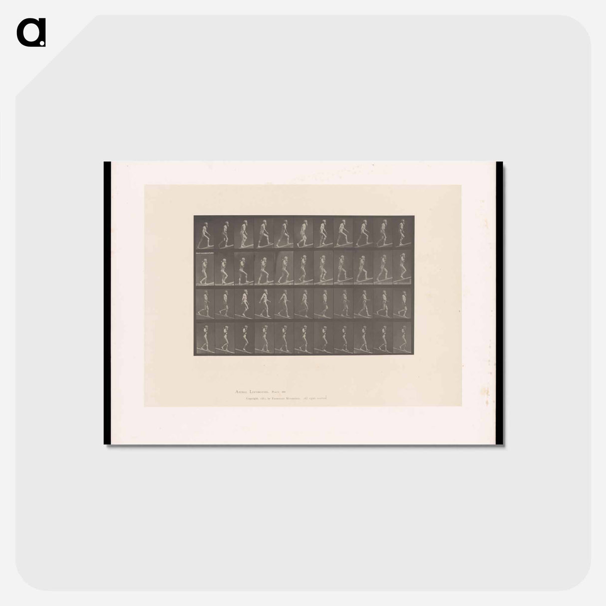 アートポストカード-Ascending and Descending
 - エドワード マイブリッジ Postcard.