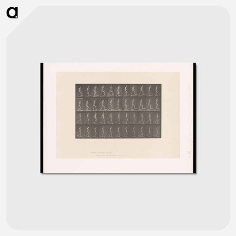 アートポストカード-Ascending and Descending
 - エドワード マイブリッジ Postcard.