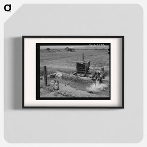 アートポスター-Irrigated Farming, Solomonsville
 - ラッセル リー Poster.