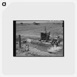 アートポストカード-Irrigated Farming, Solomonsville
 - ラッセル リー Postcard.