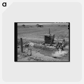 アートポストカード-Irrigated Farming, Solomonsville
 - ラッセル リー Postcard.