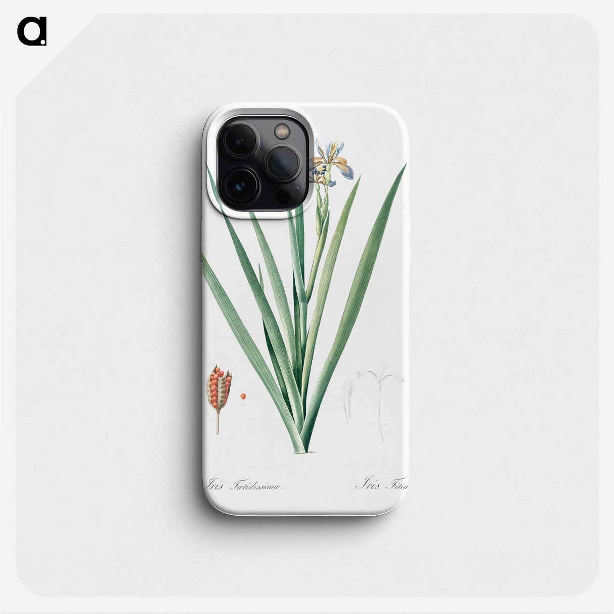 Stinking iris illustration - Pierre Joseph Redouté Phone Case.