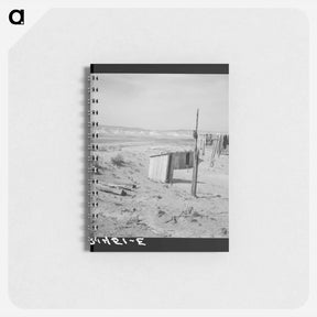 アートメモ帳-The Dazey place - ドロテア ラング Memo.