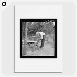 Zollie Lyons repairing the tobacco sleds at beginning of the harvest season - Dorothea Lange Poster.