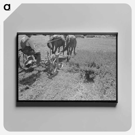 アートパネル-Soybean Hay, Lake Dick Project
 - ラッセル リー Canvas.
