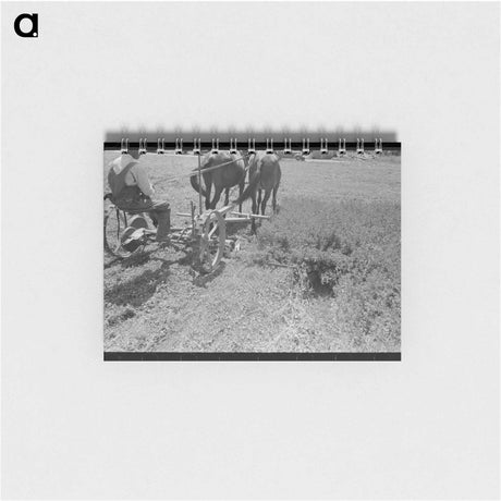 アートメモ帳-Soybean Hay, Lake Dick Project
 - ラッセル リー Memo.