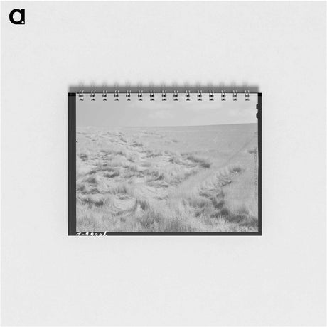 アートメモ帳-Wheat Shipment to Spokane
 - ラッセル リー Memo.