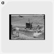 アートポストカード-Solomonsville Crops
 - ラッセル リー Postcard.
