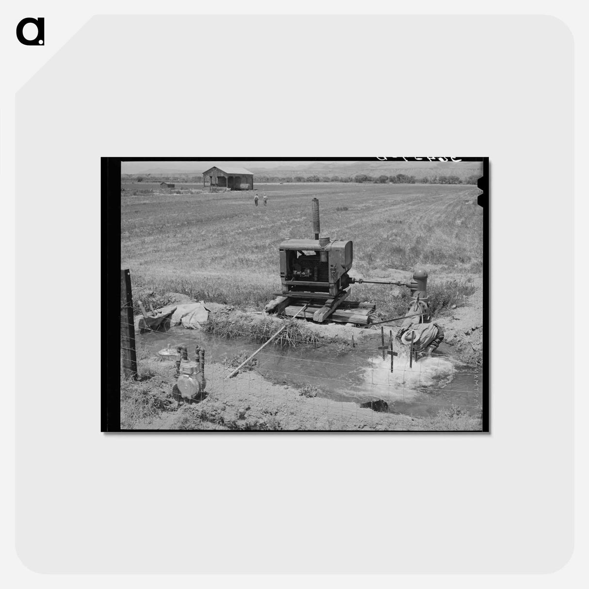 アートポストカード-Solomonsville Crops
 - ラッセル リー Postcard.