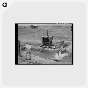 アートポストカード-Solomonsville Crops
 - ラッセル リー Postcard.
