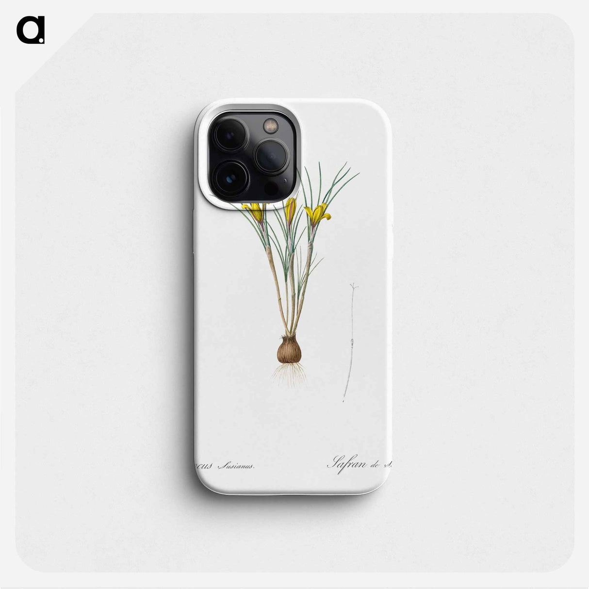 Cloth-of-gold crocus illustration from Les liliacées - Pierre Joseph Redouté Phone Case.