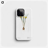 Cloth-of-gold crocus illustration from Les liliacées - Pierre Joseph Redouté Phone Case.