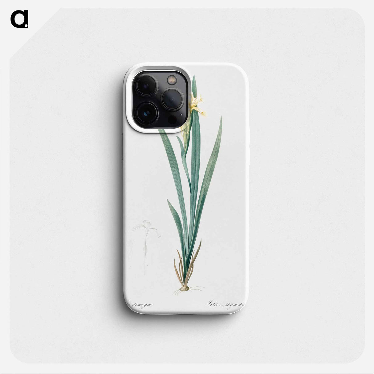 Yellow banded iris illustration - ピエール ジョゼフ ルドゥーテ Phone Case.