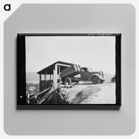アートパネル-Field Beets, Tillamook County
 - ラッセル リー Canvas.