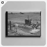 アートパネル-Homestead Burros
 - ラッセル リー Canvas.