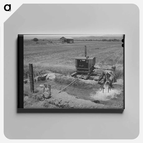 アートパネル-Homestead Burros
 - ラッセル リー Canvas.