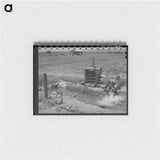 アートメモ帳-Homestead Burros
 - ラッセル リー Memo.