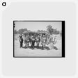 アートポストカード-Homestead Burros
 - ラッセル リー Postcard.