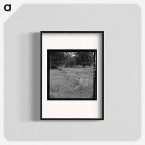アートポスター-Rail fence with poor barbed wire fence in foreground - ドロテア ラング Poster.