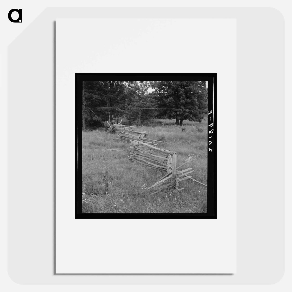 Rail fence with poor barbed wire fence in foreground - Dorothea Lange Poster.