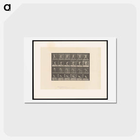 アートポストカード-Javelin Thrower
 - エドワード マイブリッジ Postcard.