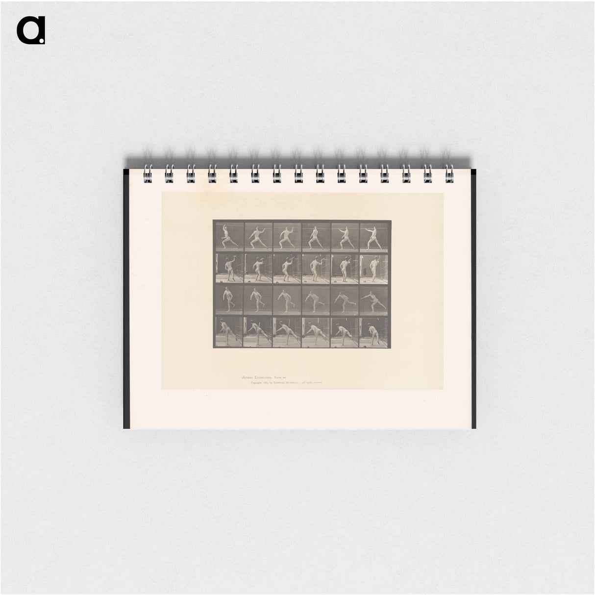 アートメモ帳-Javelin Thrower
 - エドワード マイブリッジ Memo.