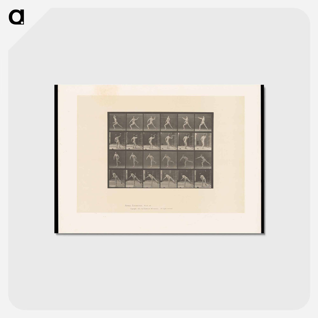 アートポストカード-Javelin Thrower
 - エドワード マイブリッジ Postcard.