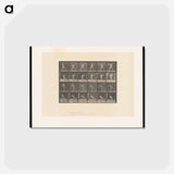 アートポストカード-Javelin Thrower
 - エドワード マイブリッジ Postcard.